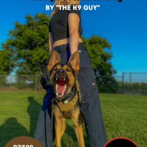 Guardianship Unleashed: The Art of Training a Family Protection Dog'